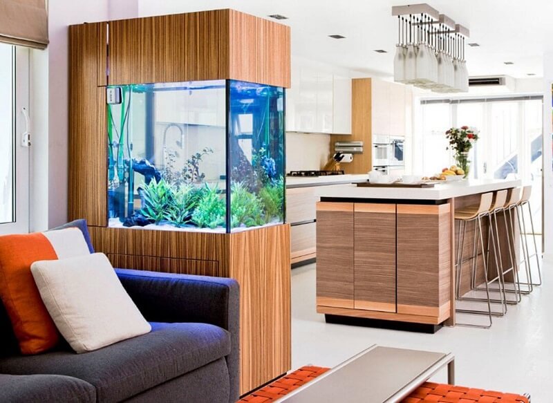 Nên đặt bể cá cảnh ở trong cung Phú Quý và Quan Lộc