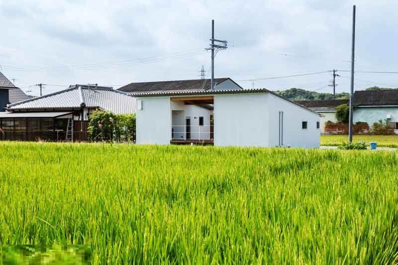 Đất 50 năm không được xây nhà ở