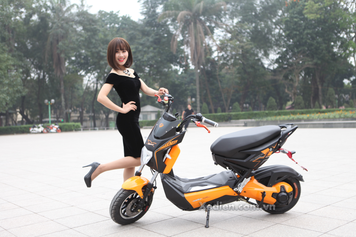 xe máy điện động cơ lớn