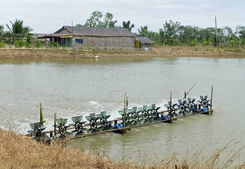 Xử lý tranh chấp