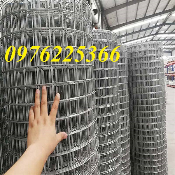 Lưới thép hàn mạ kẽm D3,D4 ô 50x50 hàng có sẵn dạng cuộn 