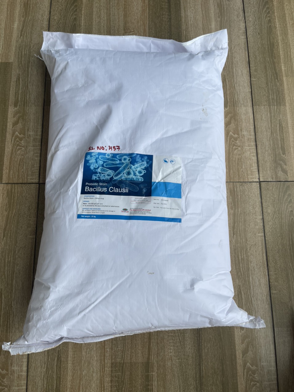 BACILLUS CLAUSII vi sinh đơn d&ograveng vi sinh nguy&ecircn liệu 