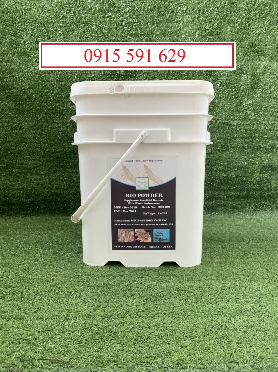  men vi sinh xử lý nước và đ&aacutey ao d&ograveng bacillusvi sinh vi&ecircn n&eacuten