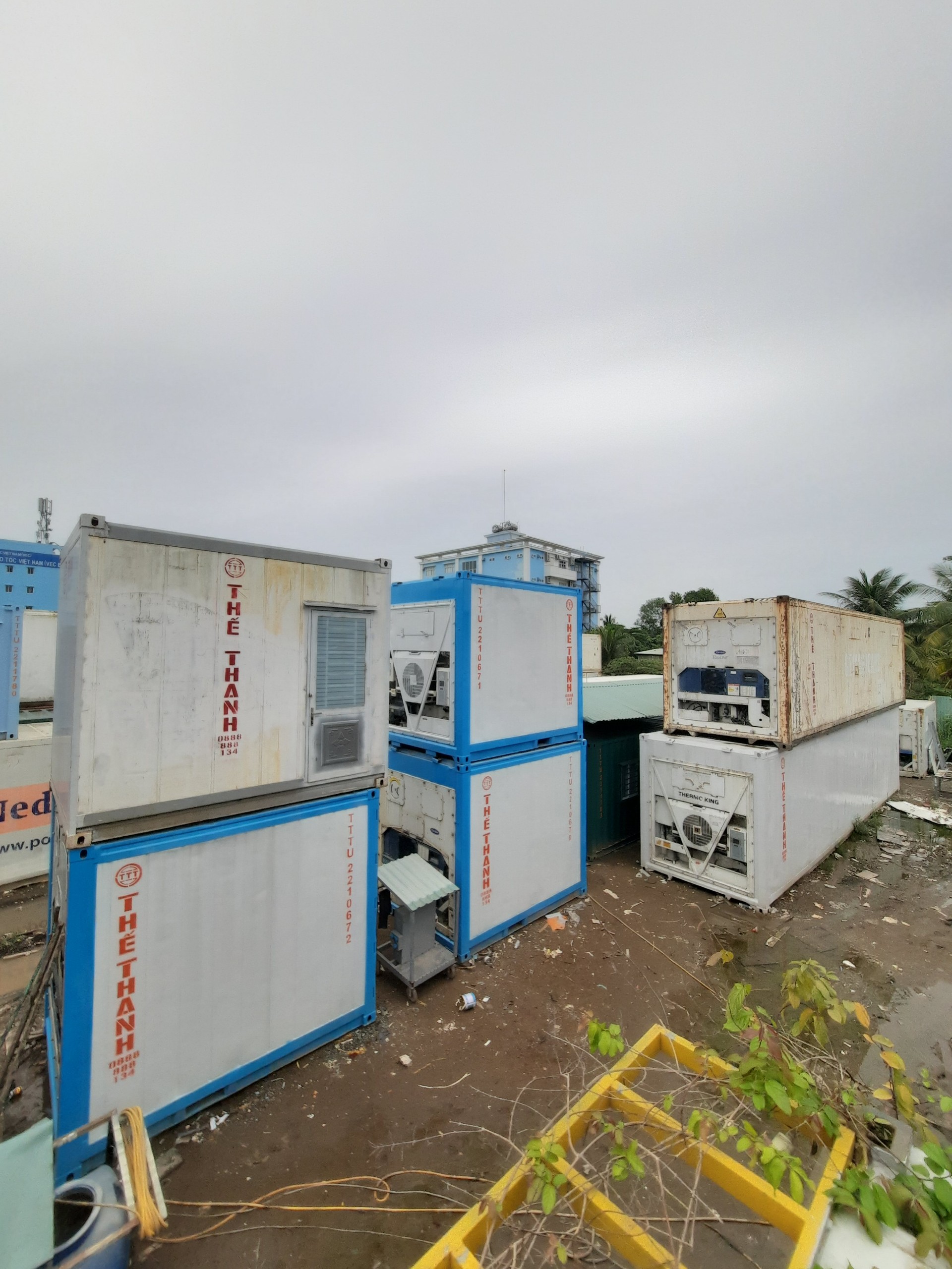 Thuê Container lạnh trữ đông thực phẩm và nông sản