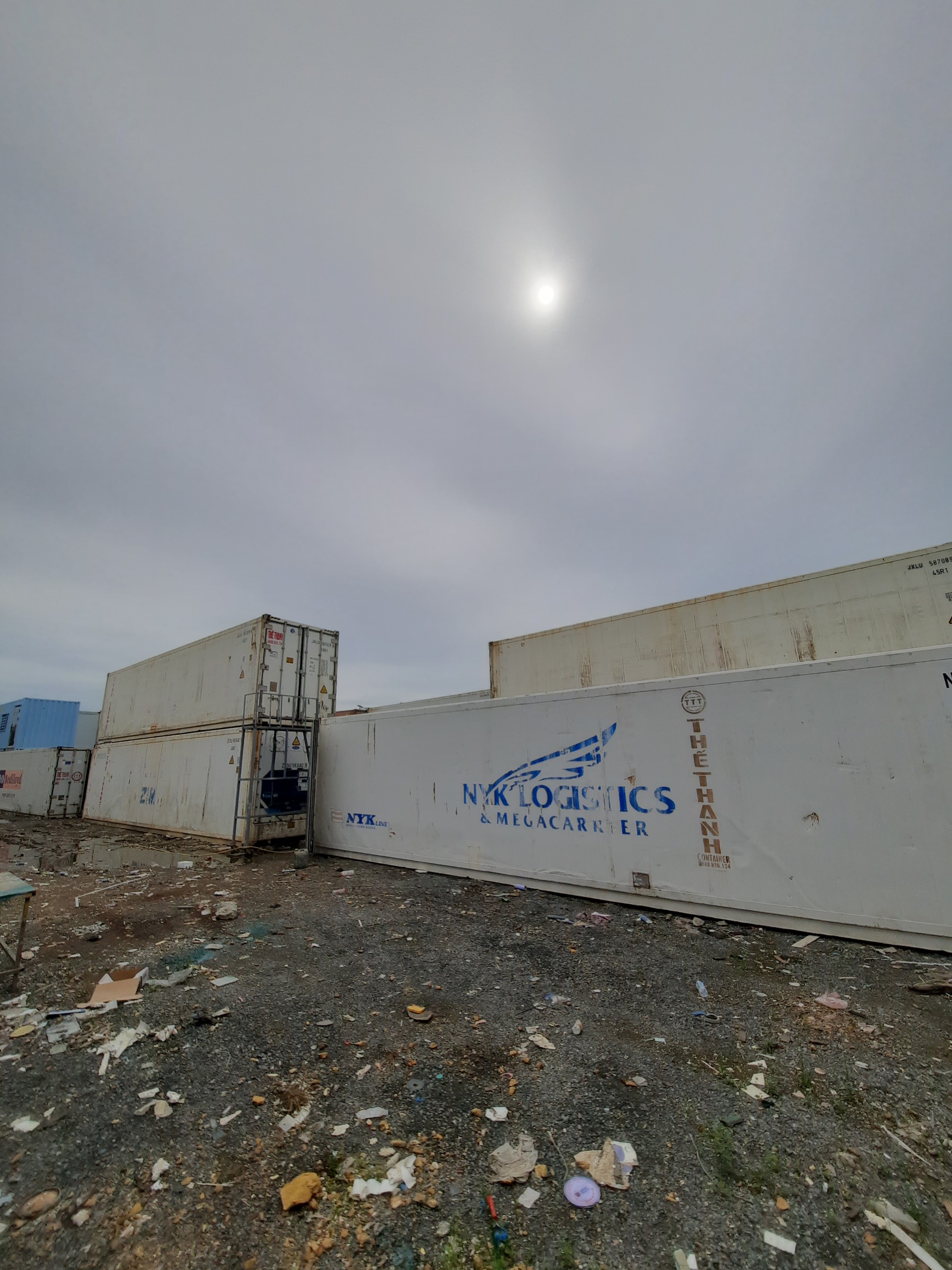 Thuê Container lạnh trữ đông thực phẩm và nông sản