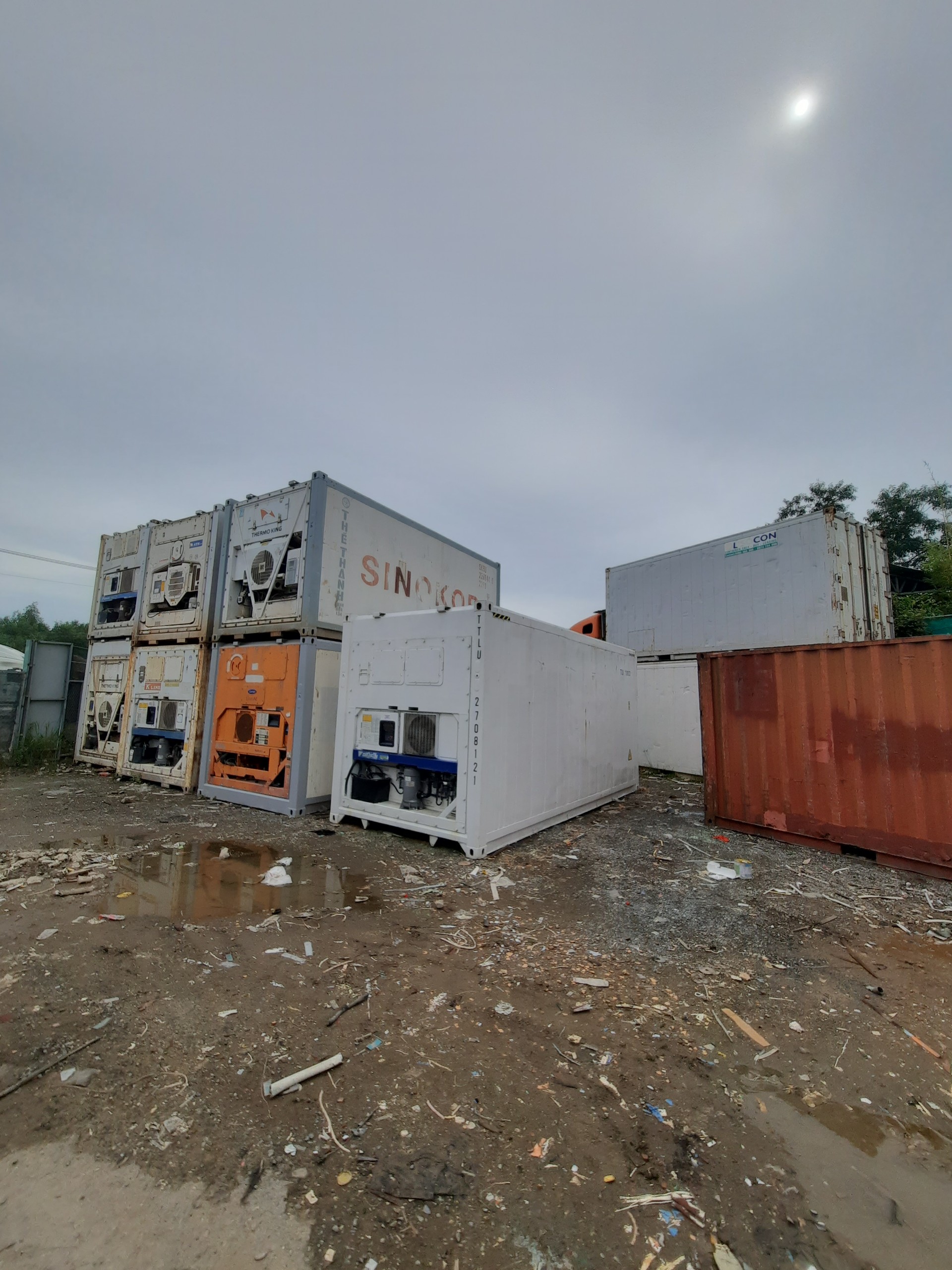 Thuê Container lạnh trữ đông thực phẩm và nông sản