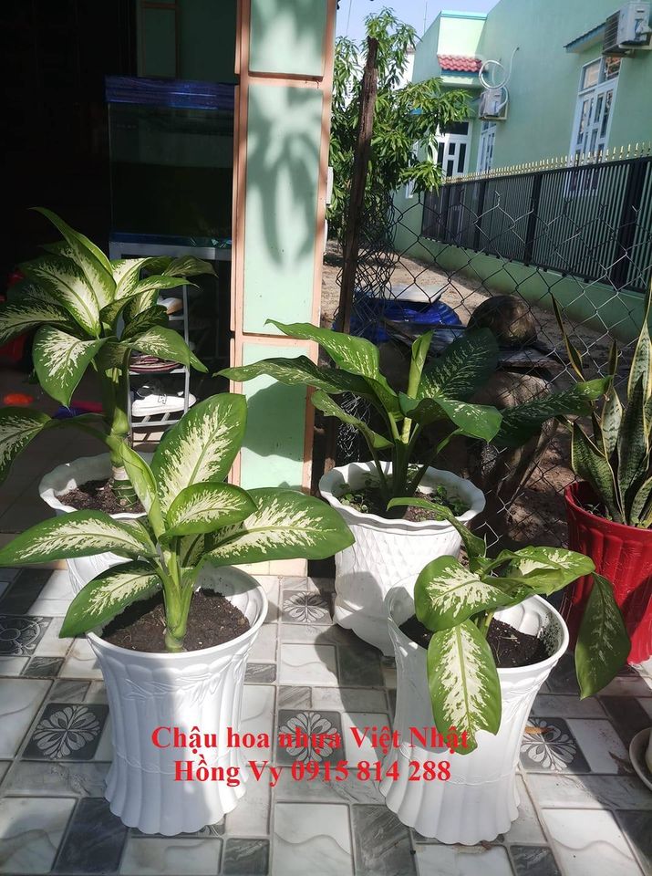 Chậu hoa nhựa Ống trúc - chuận hoa nhựa Việt Nhật