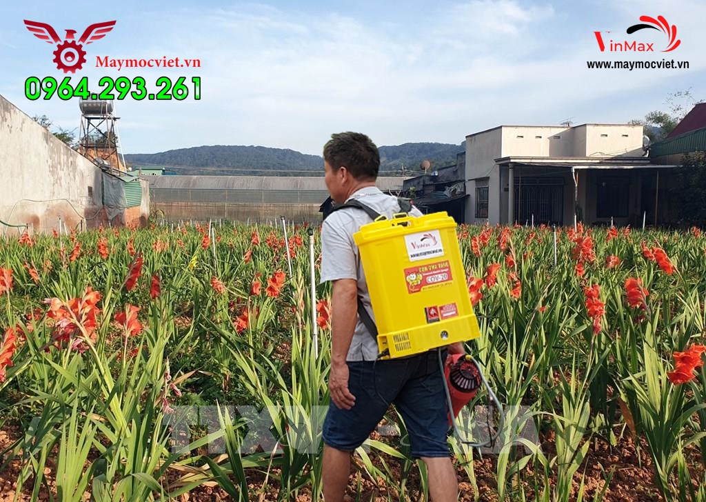 Máy phun thuốc phòng trừ sâu bệnh cho hoa lây ơn đón Tết