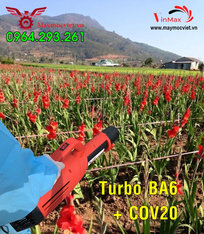 Máy phun thuốc phòng trừ sâu bệnh cho hoa lây ơn đón Tết