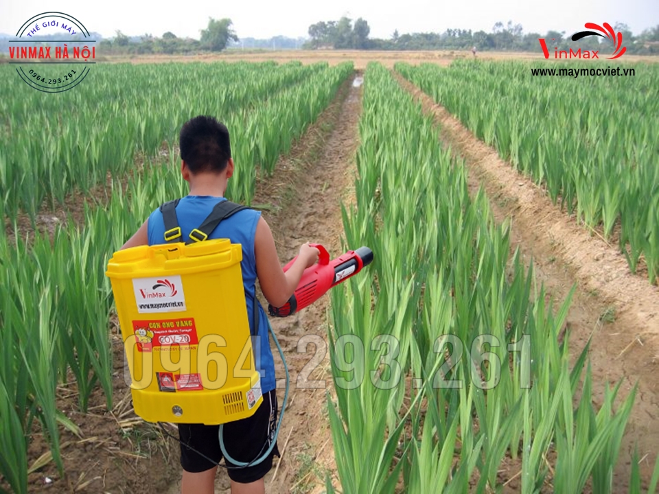 Máy phun thuốc phòng trừ sâu bệnh cho hoa lây ơn đón Tết