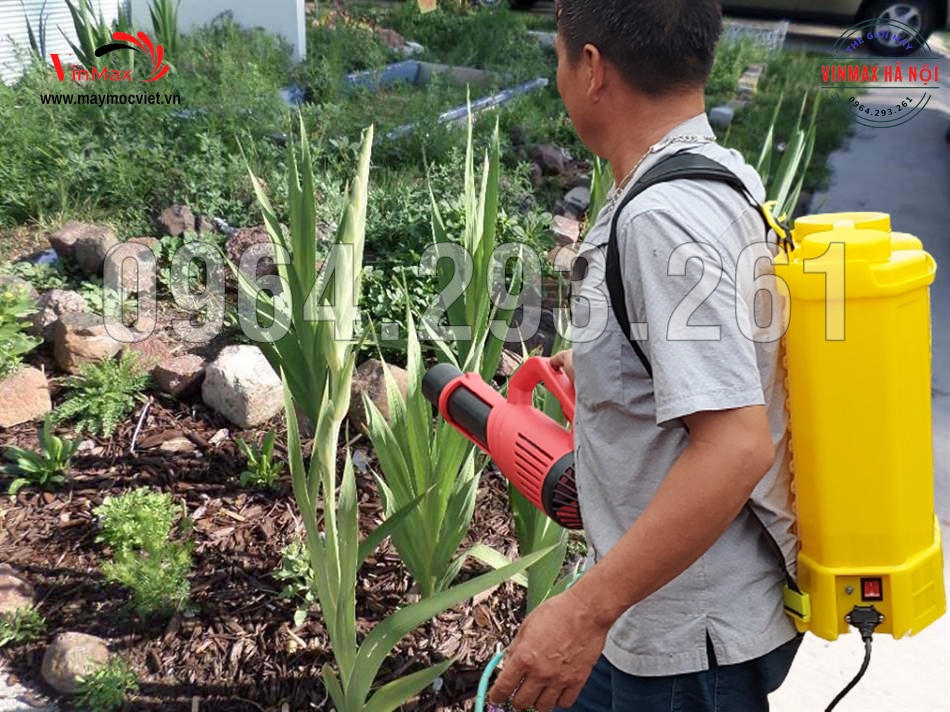 Máy phun thuốc phòng trừ sâu bệnh cho hoa lây ơn đón Tết