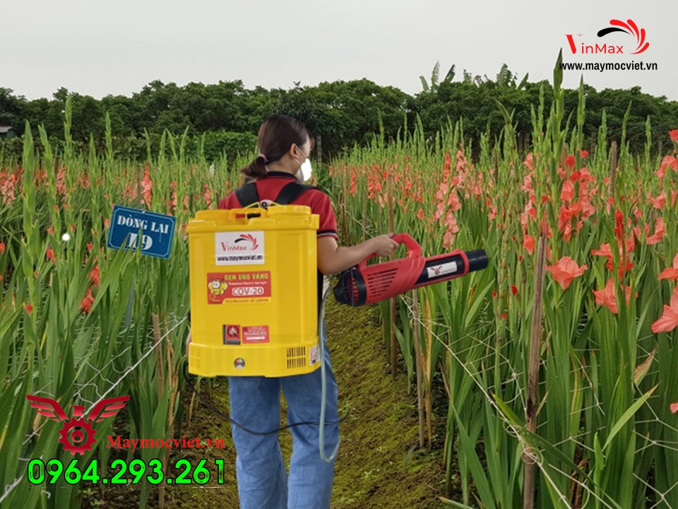 Máy phun thuốc phòng trừ sâu bệnh cho hoa lây ơn đón Tết