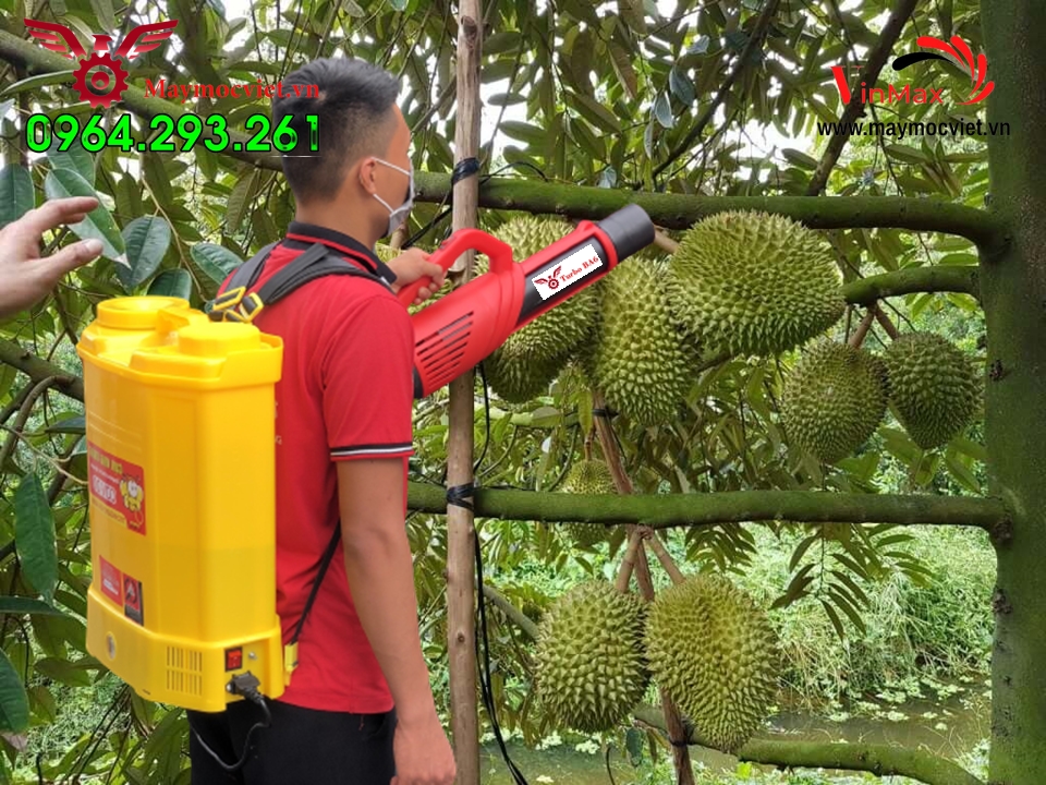 Máy phun diệt trừ nhện đỏ gây hại trên cây sâu riêng Turbo BA6