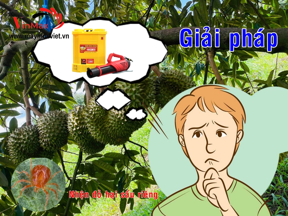 Máy phun diệt trừ nhện đỏ gây hại trên cây sâu riêng Turbo BA6