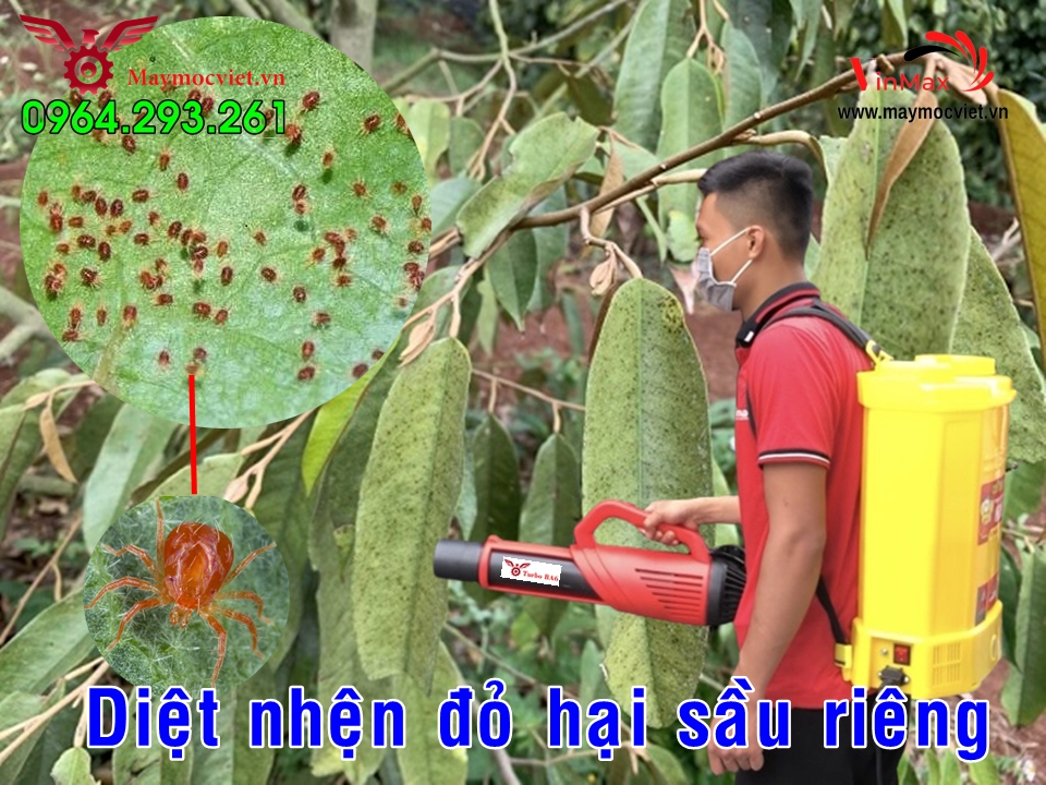 Máy phun diệt trừ nhện đỏ gây hại trên cây sâu riêng Turbo BA6