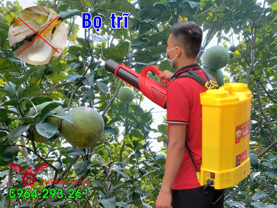 Máy phun thuốc diệt côn trùng gây hại cây bưởi ra hoa không đậu quả
