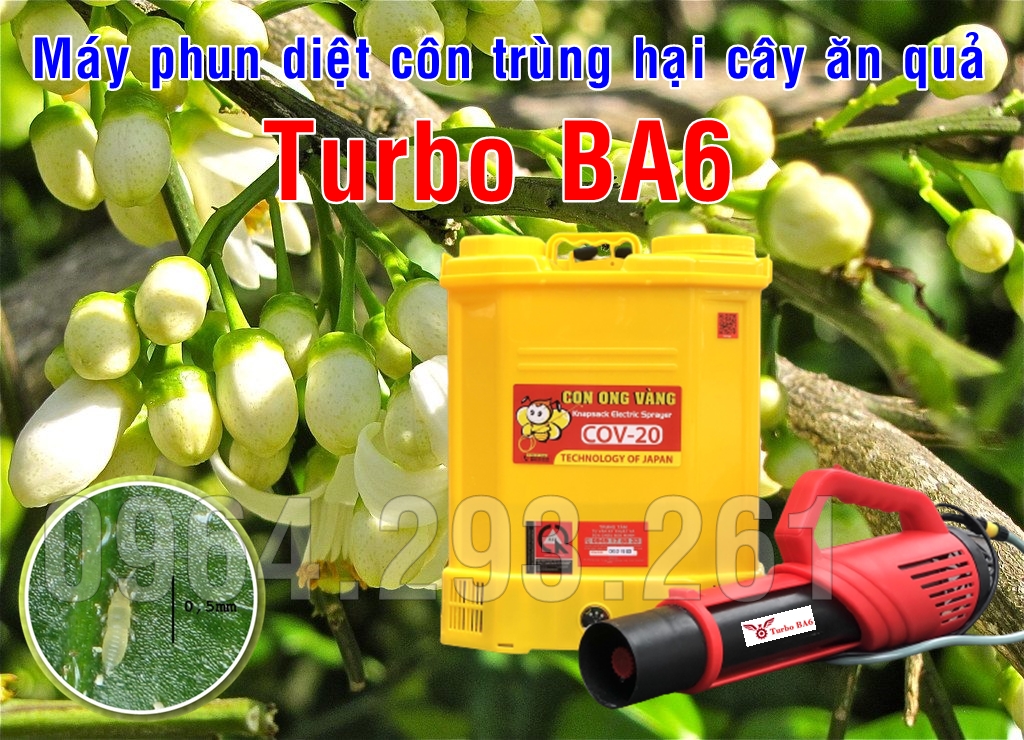 Máy phun thuốc diệt côn trùng gây hại cây bưởi ra hoa không đậu quả