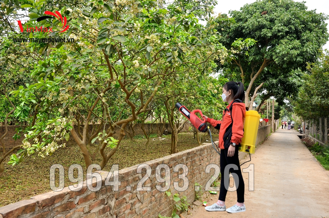 Máy phun thuốc diệt côn trùng gây hại cây bưởi ra hoa không đậu quả