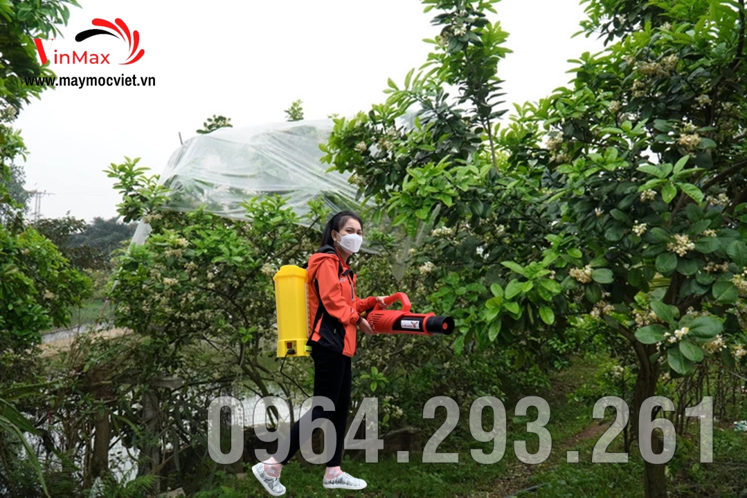Máy phun thuốc diệt côn trùng gây hại cây bưởi ra hoa không đậu quả