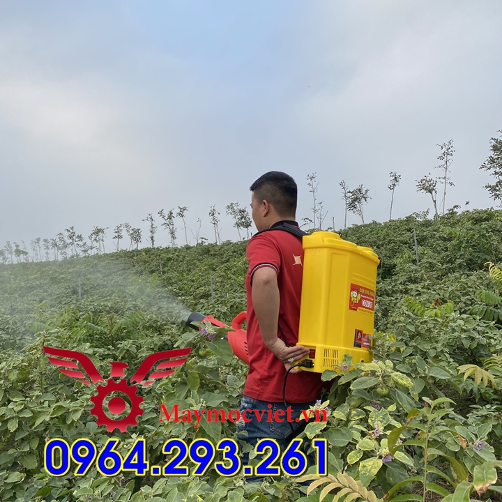 Máy phun thuốc Turbo BA6 trị bệnh lở cổ rễ cho cây trồng