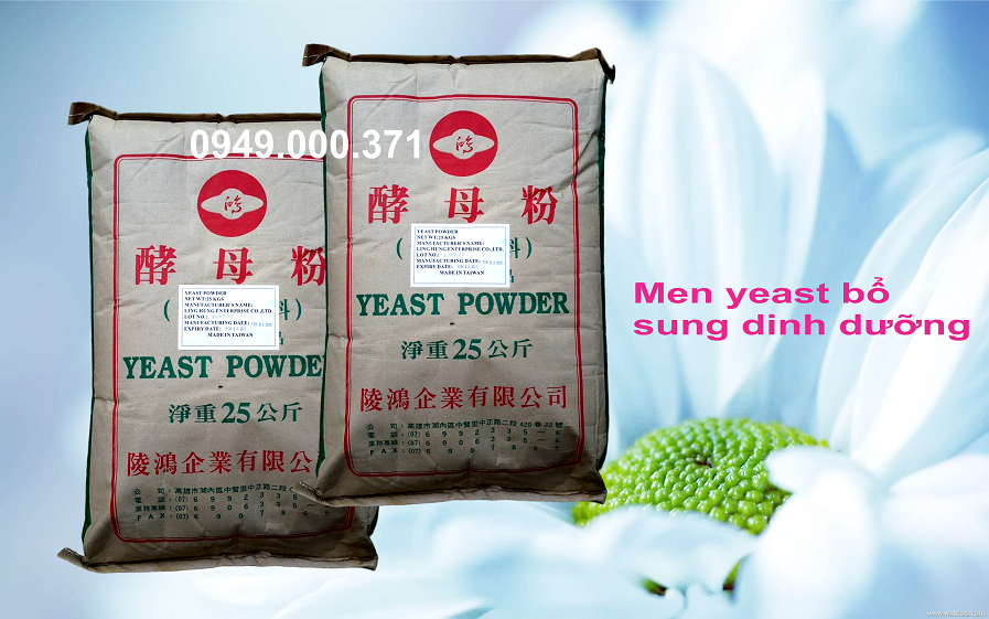 Yeast powder đạm dinh dưỡng cho tôm cá, hỗ trợ nong to đường ruột