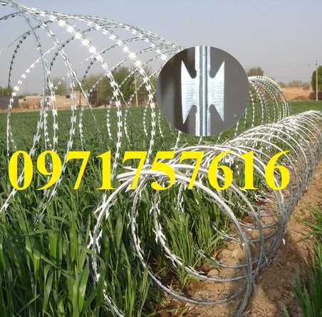 Dây kẽm gai hình dao chống trộm,kẽm gai lưới dao