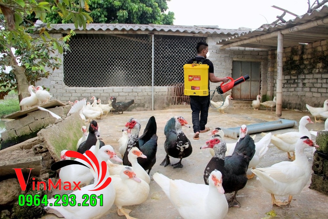 Máy phun sát trùng chuồng nuôi phòng tránh bệnh cúm tai Phú Thọ