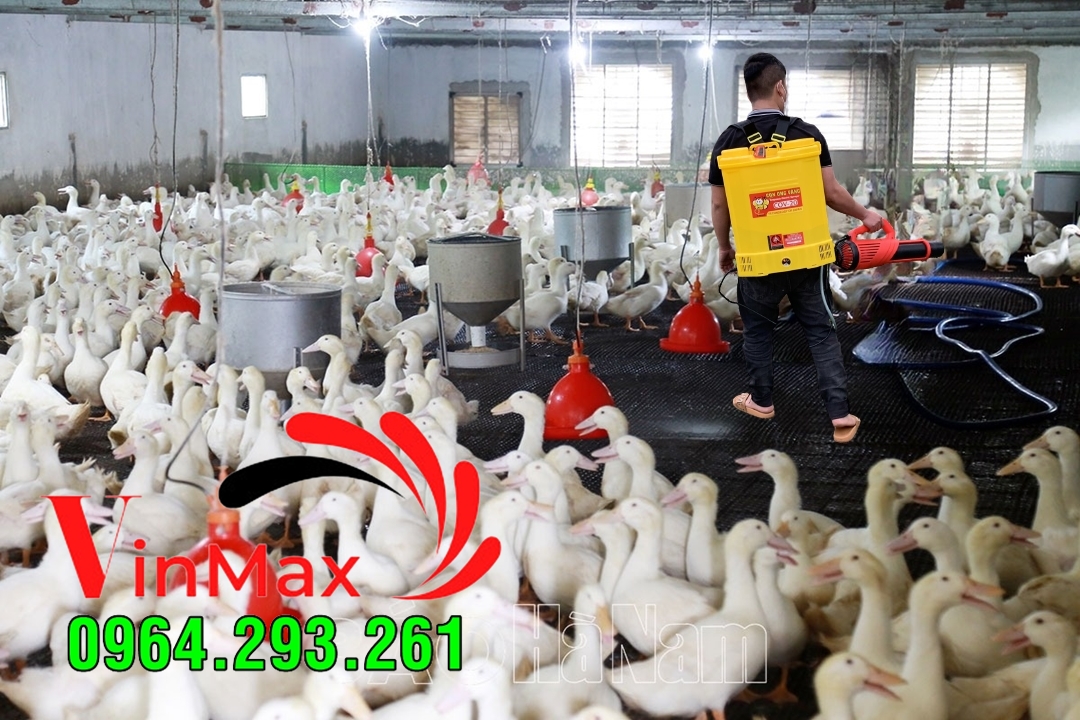 Máy phun sát trùng chuồng nuôi phòng tránh bệnh cúm tai Phú Thọ