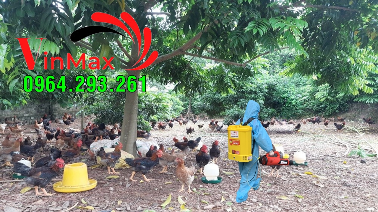 Máy phun sát trùng chuồng nuôi phòng tránh bệnh cúm tai Phú Thọ