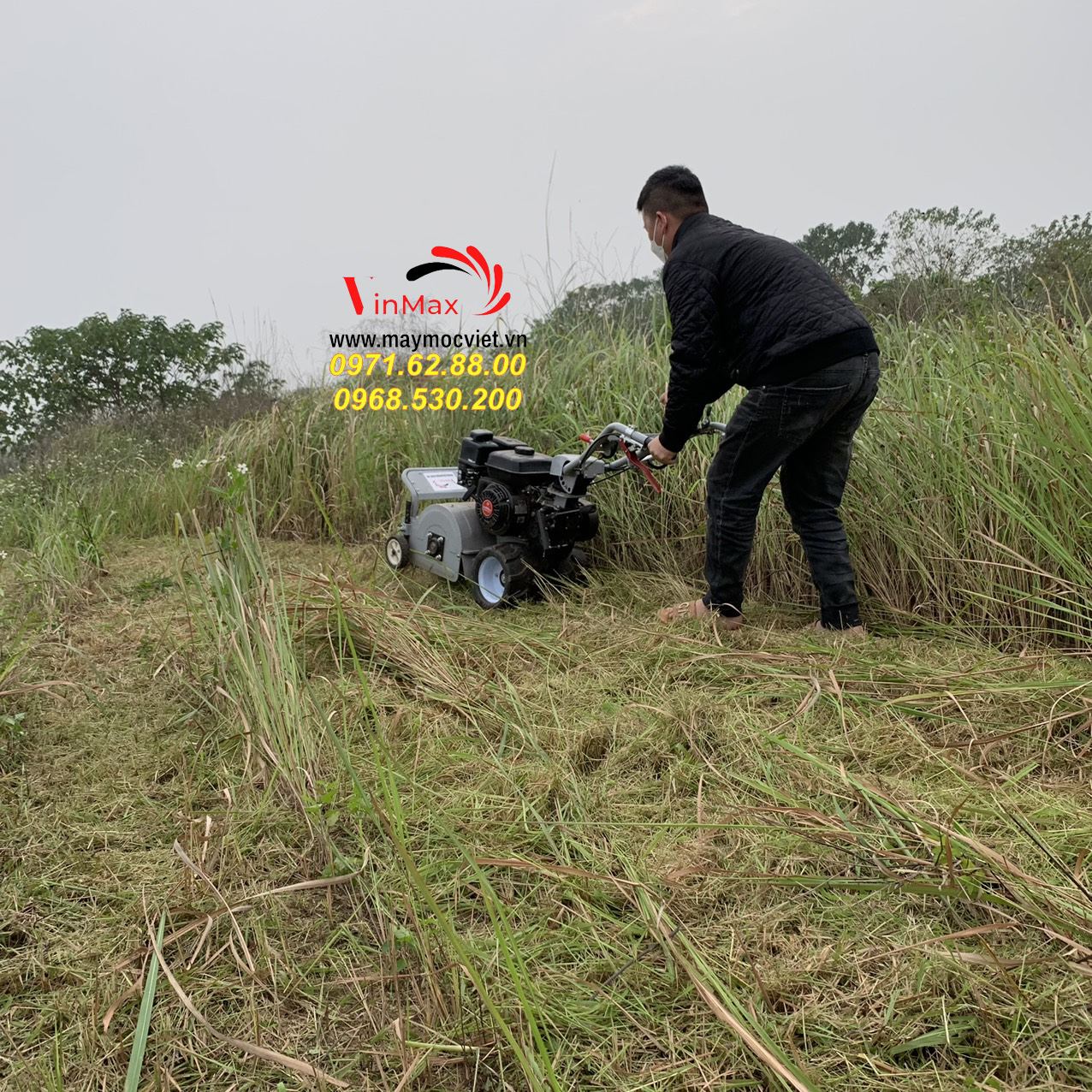 Máy cắt cỏ trục băm chính hãng giá rẻ tại Tây Nguyên