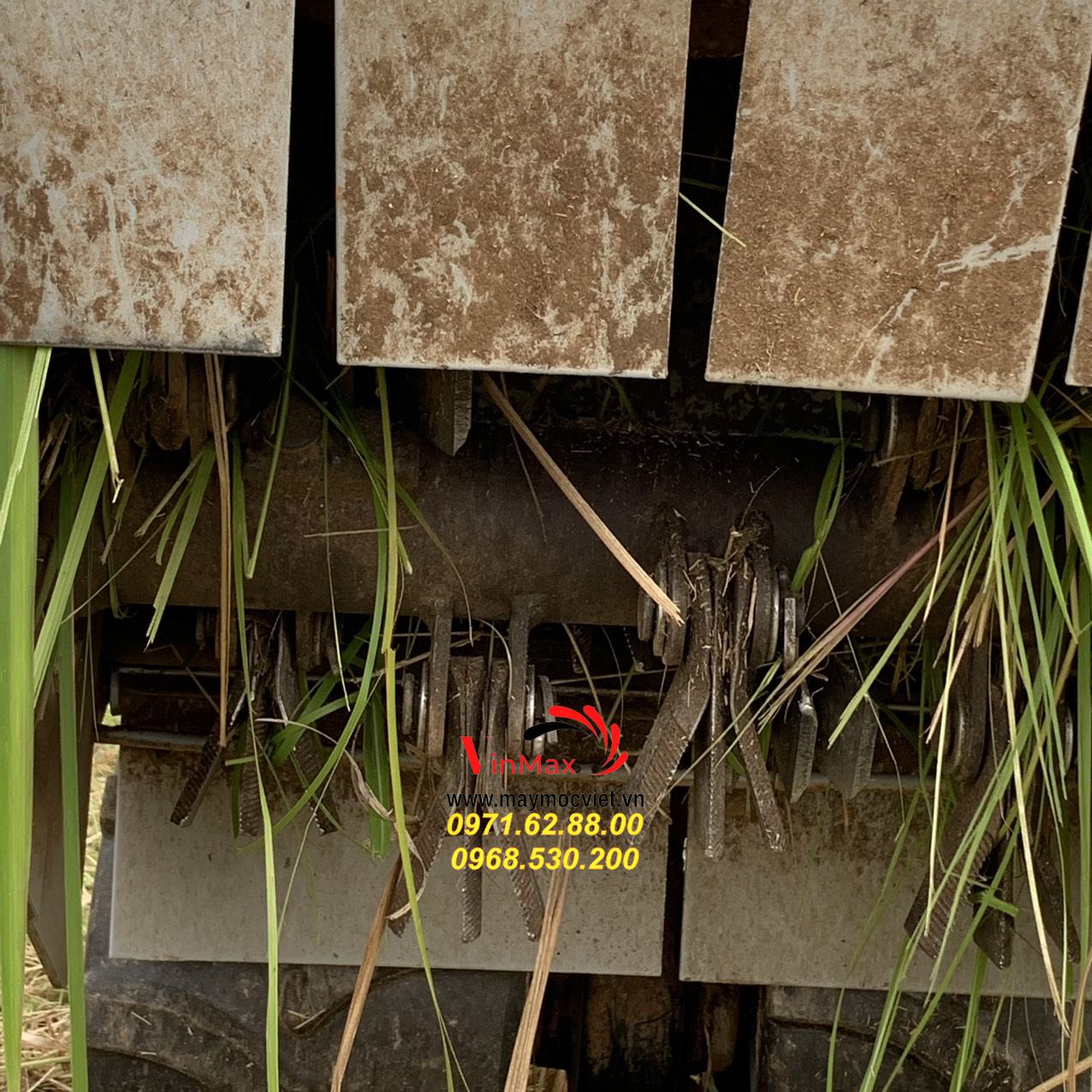 Máy cắt cỏ trục băm chính hãng giá rẻ tại Tây Nguyên