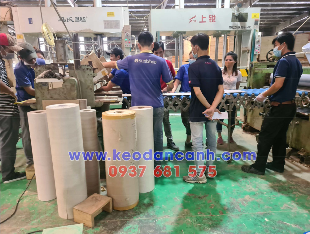 Cung cấp keo sữa dán laminate chất lượng tốt nhất tại Bình Dương