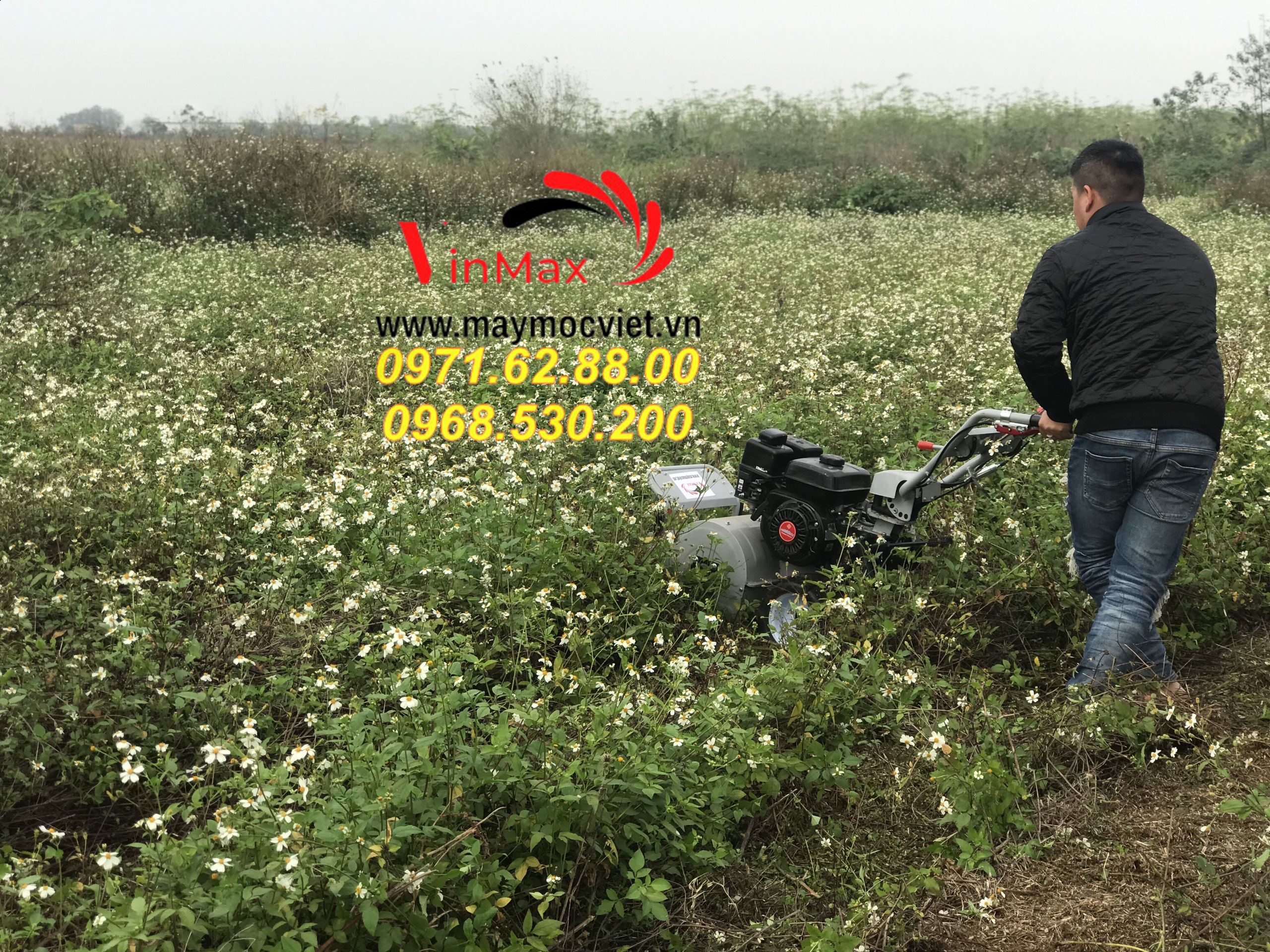 Mua máy cắt cỏ chính hãng tại đâu, máy cắt cỏ kawasaki VMTB70