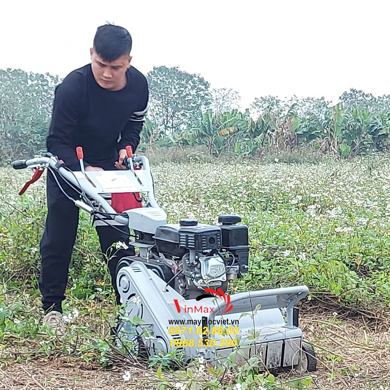 Mua máy cắt cỏ chính hãng tại đâu, máy cắt cỏ kawasaki VMTB70