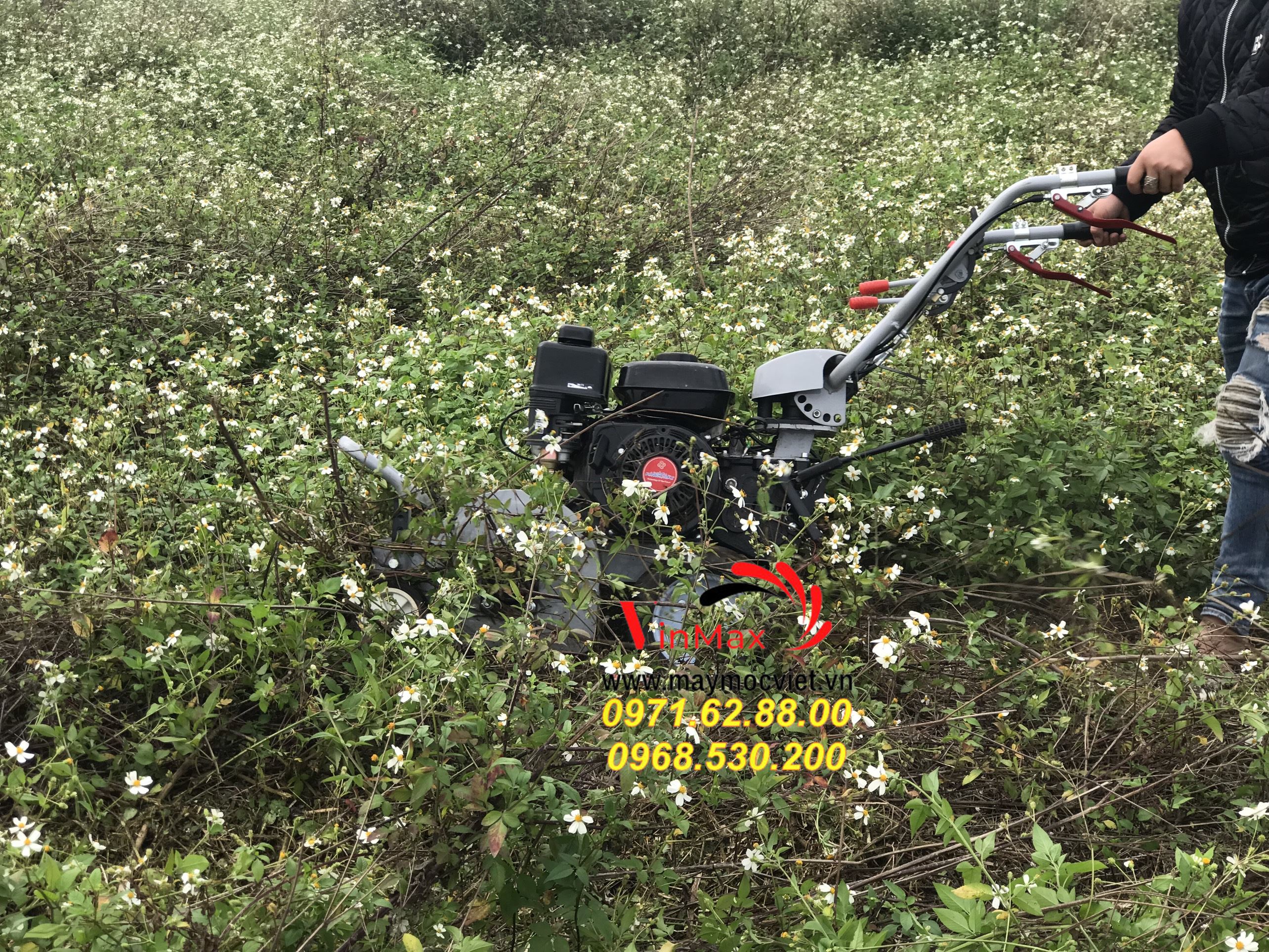 Mua máy cắt cỏ chính hãng tại đâu, máy cắt cỏ kawasaki VMTB70