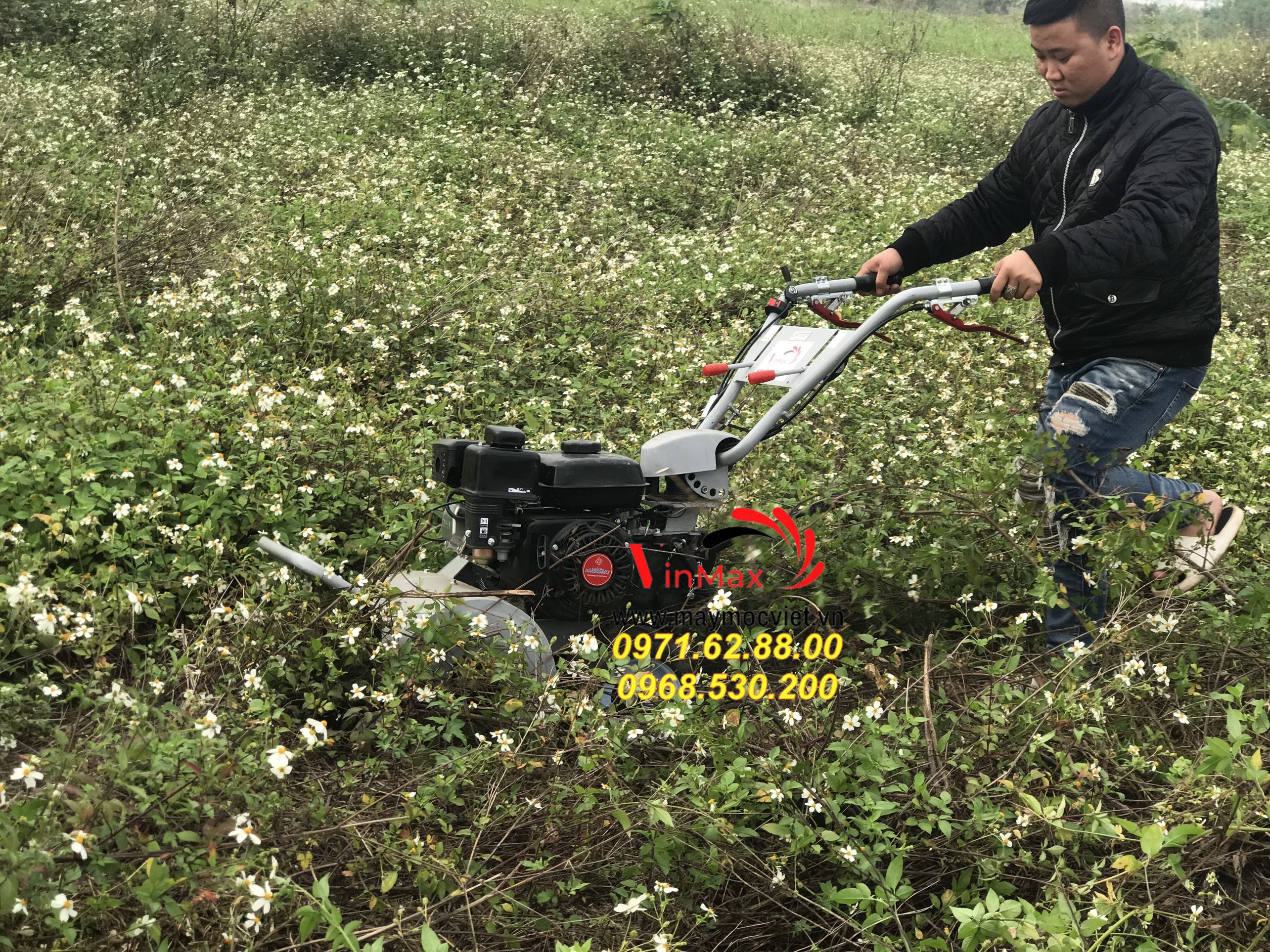 Mua máy cắt cỏ chính hãng tại đâu, máy cắt cỏ kawasaki VMTB70