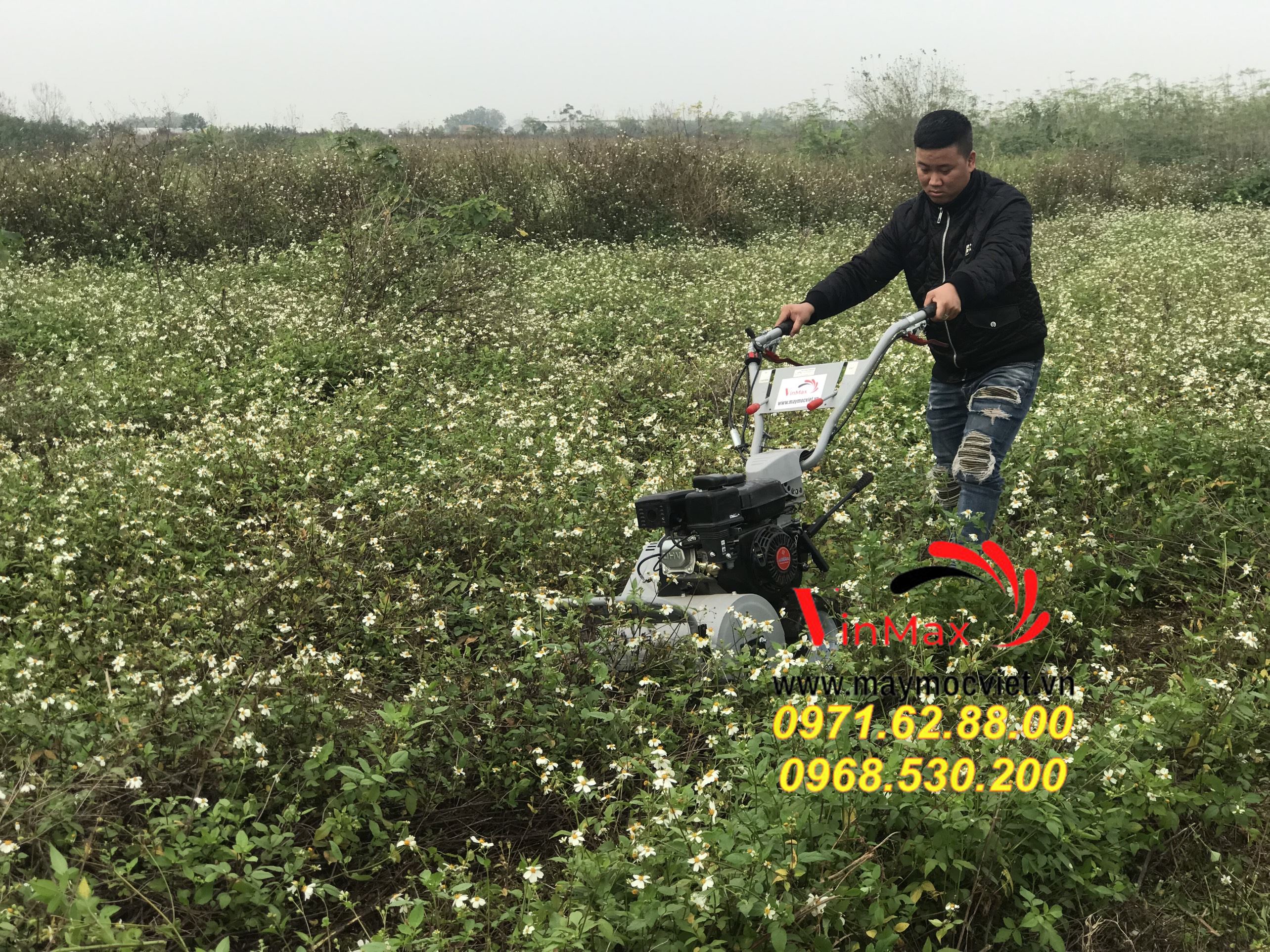 Mua máy cắt cỏ chính hãng tại đâu, máy cắt cỏ kawasaki VMTB70