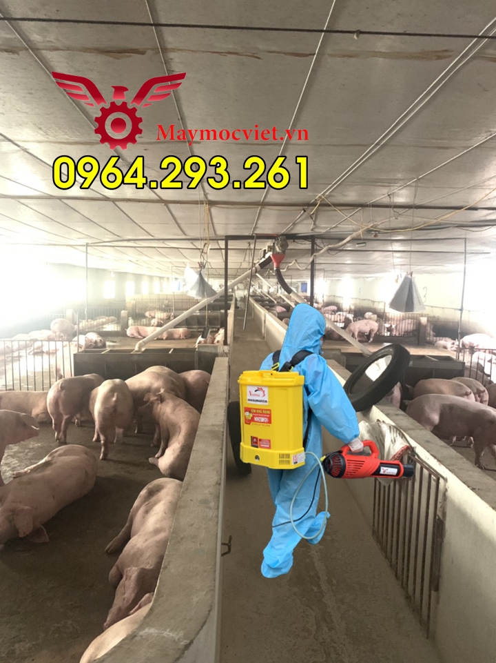 Máy phun khử khuẩn chuồng trại chăn nuôi phòng lây bệnh liên cầu lợn