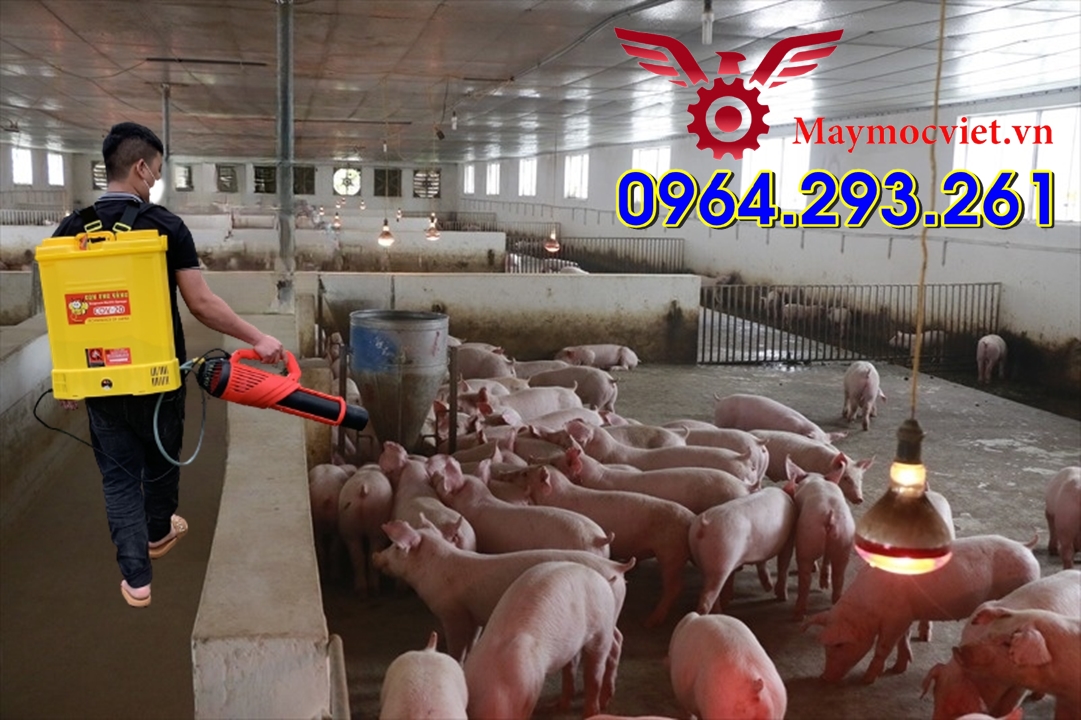 Máy phun khử khuẩn chuồng trại chăn nuôi phòng lây bệnh liên cầu lợn