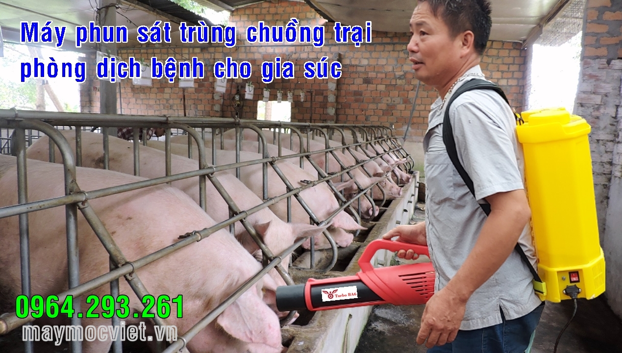 Máy phun khử khuẩn chuồng trại chăn nuôi phòng lây bệnh liên cầu lợn
