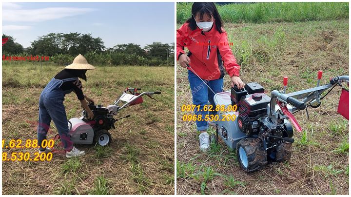 Khuyến mại mua máy cắt cỏ trục băm liên hệ 0971628800
