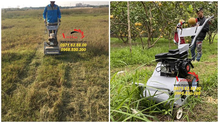 Bán máy cắt cỏ trục băm giá tốt tại Hồ Chí Minh