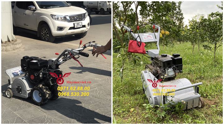 Bán máy cắt cỏ trục băm giá tốt tại Hồ Chí Minh