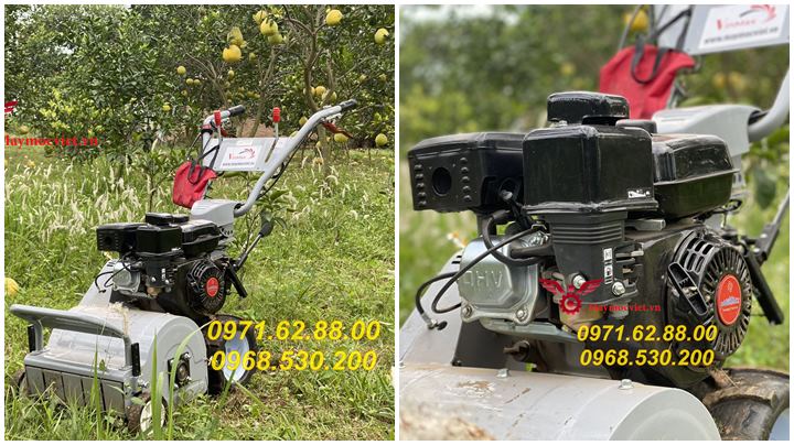 Bán máy cắt cỏ trục băm giá tốt tại Hồ Chí Minh