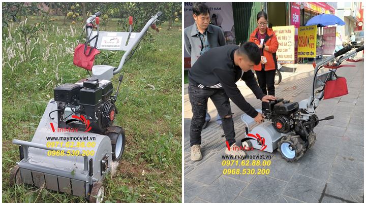 Bán máy cắt cỏ trục băm giá tốt tại Hồ Chí Minh