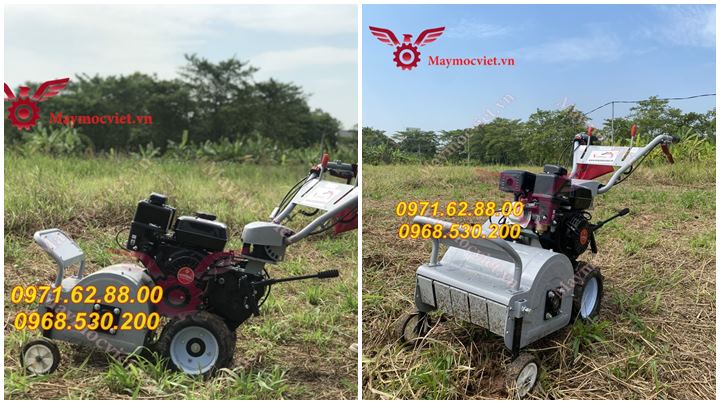 Bán máy cắt cỏ trục băm giá tốt tại Hồ Chí Minh