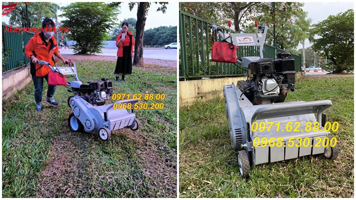 Bán máy cắt cỏ trục băm giá tốt tại Hồ Chí Minh
