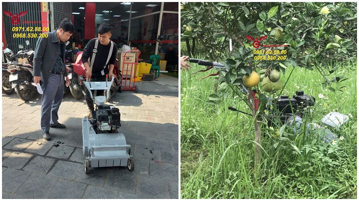 Bán máy cắt cỏ trục băm giá tốt tại Hồ Chí Minh