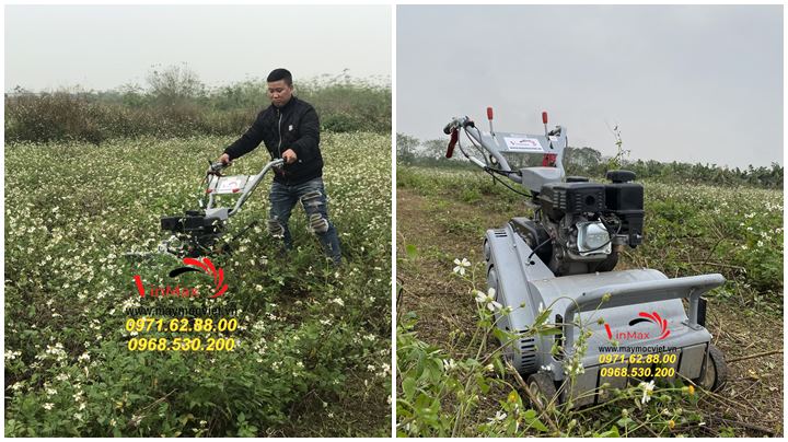 Máy cắt cỏ trục băm cho nhà vườn chất lượng cao