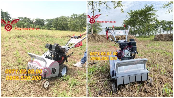Máy cắt cỏ trục băm cho nhà vườn chất lượng cao